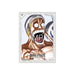 One Piece CG - Set 14 - Sleeves Assortiment - Collect Marvel